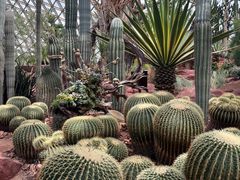 -上海辰山植物园