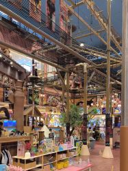 -卡通尼·Safari非洲探索乐园·生日会(金桥国际商业广场店)