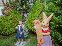 -正佳雨林生态植物园