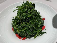 红果枸杞苗-清真·宁夏印象·盐池滩羊肉体验店(江宁路店)
