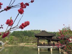 -镇江市南山风景名胜区竹林景区