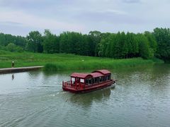 -溱湖国家湿地公园