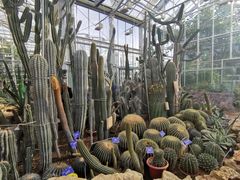 -国家植物园南园