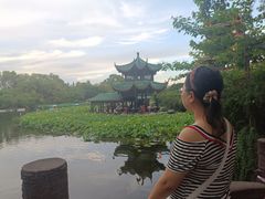 -桂湖森林公园