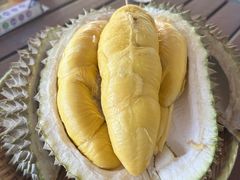 -榴莲BB 四季果园