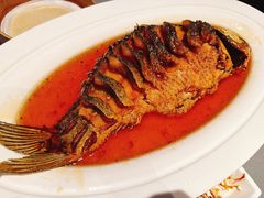 糖醋软溜黄河鲤鱼焙面-阿庄新豫菜(通泰路店)