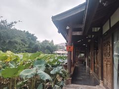 -莫催咖啡
