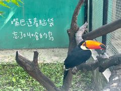 -沈阳鸟岛