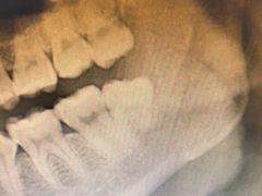 -上海市徐汇区口腔医院