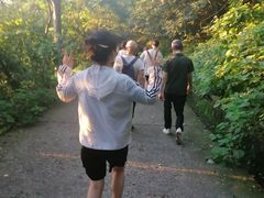 -紫金山山顶公园