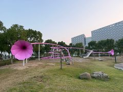 -春花秋色城市公园