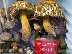 -太婆天府山珍酒楼(亚运村店)