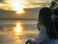 -宝安西湾红树林湿地公园