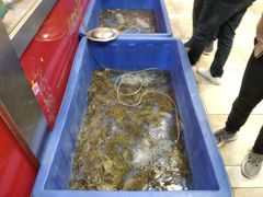 -红桃K虾王·小龙虾·烧烤·火锅(红星路店)