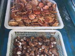 -金渔村海鲜烧烤大排档