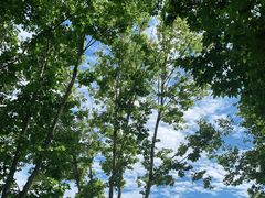 -祥源·阜阳生态乐园