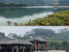 -水濂山森林公园