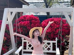 -沂蒙云瀑洞天景区