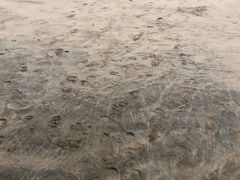 -东海半边山旅游度假区