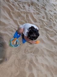 -恐龙探索乐园(磁器口店)