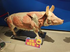 -生命奥秘博物馆