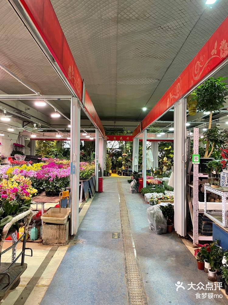 好逛的北京花卉市场