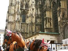 -斯蒂芬主教座堂(Stephansdom)