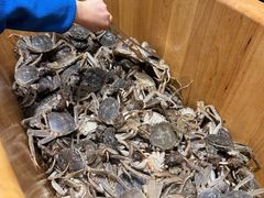 -川骄海鲜自助(亚运村店)