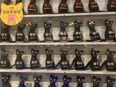 -猫咪博物馆(顶澳仔猫街店)