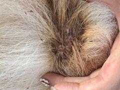 -美联众合动物医院·24h转诊中心