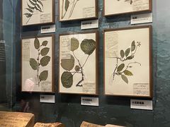 -四川大学博物馆