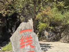 -黑河国家森林公园