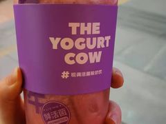 -一只酸奶牛(八一路店)