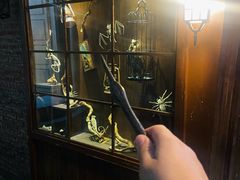 -逃脱反斗城沉浸剧情密室(阳光新业中心店)