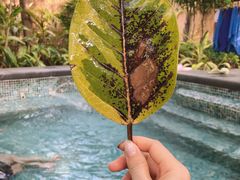 -广州都喜泰丽温泉度假酒店