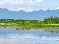 -野鸭湖国家湿地公园