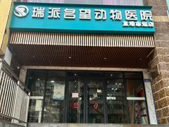 -瑞派名望志远动物医院·猫科·內科·异宠专科(直港大道店)