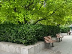 -燕郊植物园
