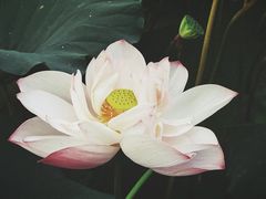 -黄兴公园