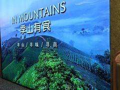 -季季山·云南野生菌火锅(上海首店)