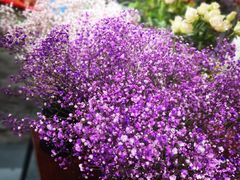 -何兮花店·气球派对鲜花店(马桥银春路万科城店)