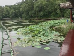-承德避暑山庄景区