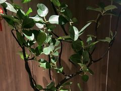 -食悦江南·淮扬菜·烤鸭(亚运村·惠新店)