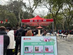 -杭州黄龙洞