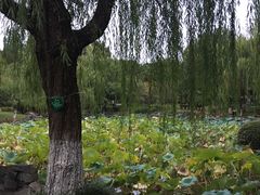 -孝子祠公园