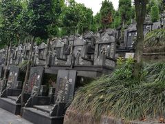 -杭州半山国家森林公园