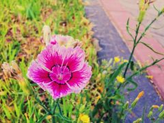 -永定河休闲森林公园