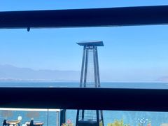 -野菌皇海景野生菌火锅(滨海大道店)