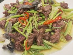 -新泉小傅美食(国贸天琴湾天境店)