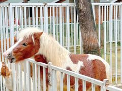 -蓝地时尚庄园(北京清河营地铁站店)